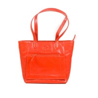 Crimson Croco Elegance Bag